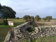 #9: stone wall with entrance