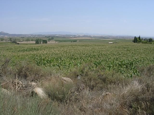 General view from 1/2 mile at the SW of the CP / Vista general desde a 800 m al SO