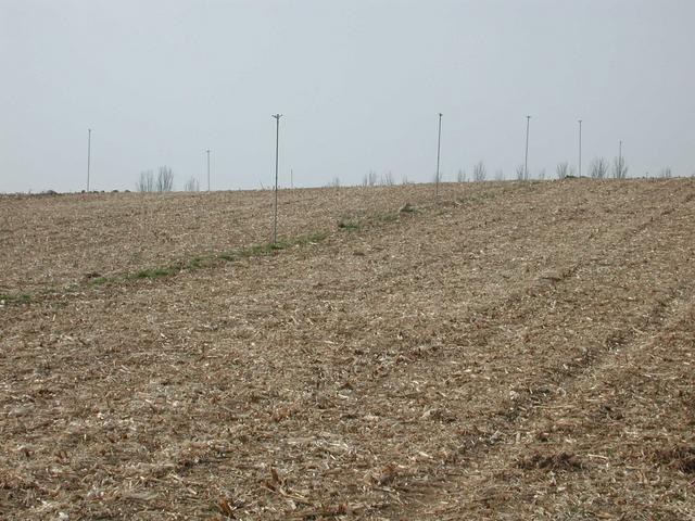 In the middle of a sprinkler irrigated corn field