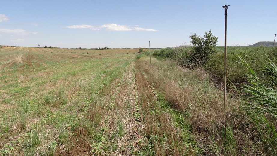 Way along the ditch