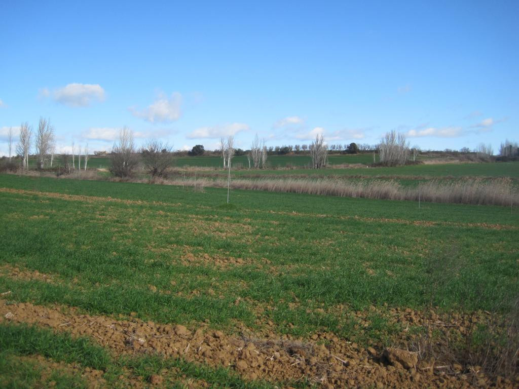 Norden; view north