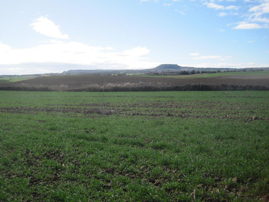 Süden; view south