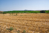 #3: View South