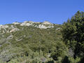 #3: North view