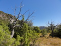 #3: East view