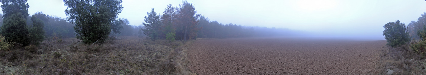 360-degree panorama in the morning mist