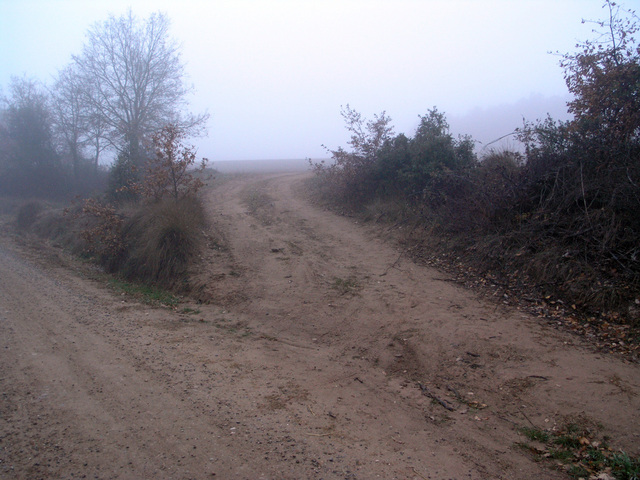 A track leaves the dirt road about 140 m from the confluence