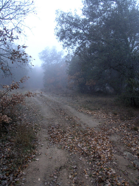 The track leads to a point just 40 m away