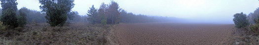 #1: 360-degree panorama in the morning mist