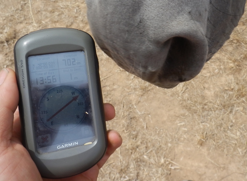 GPS Reading with Horse
