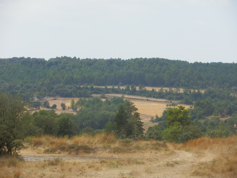 The Confluence from 1.5 km Distance