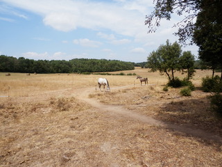 #1: The Confluence from 30 m