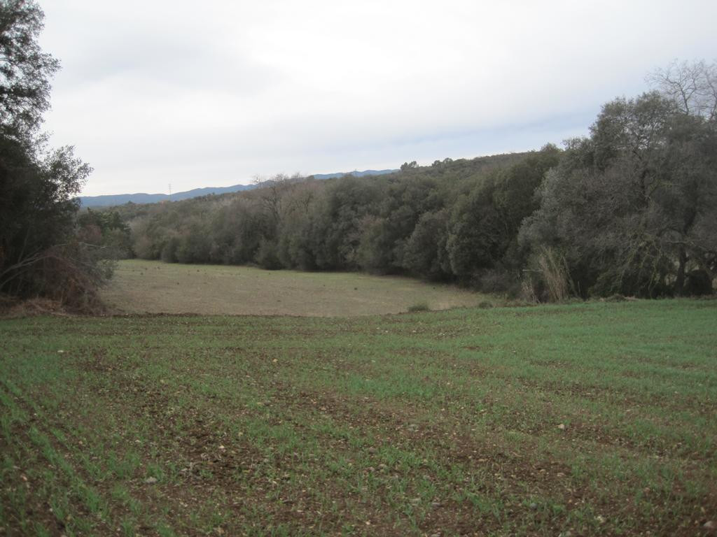 Süden; view south