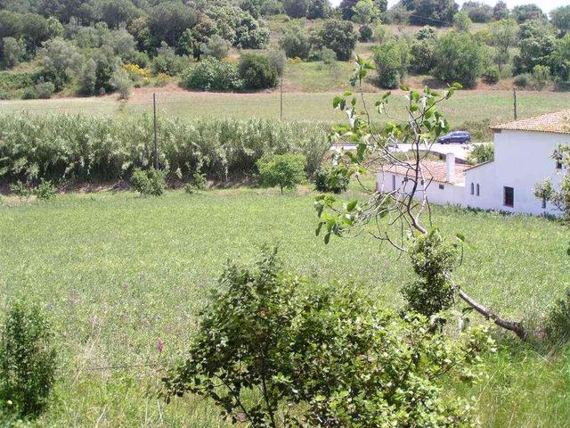 Near this farm, a footpath led me toward the confluence