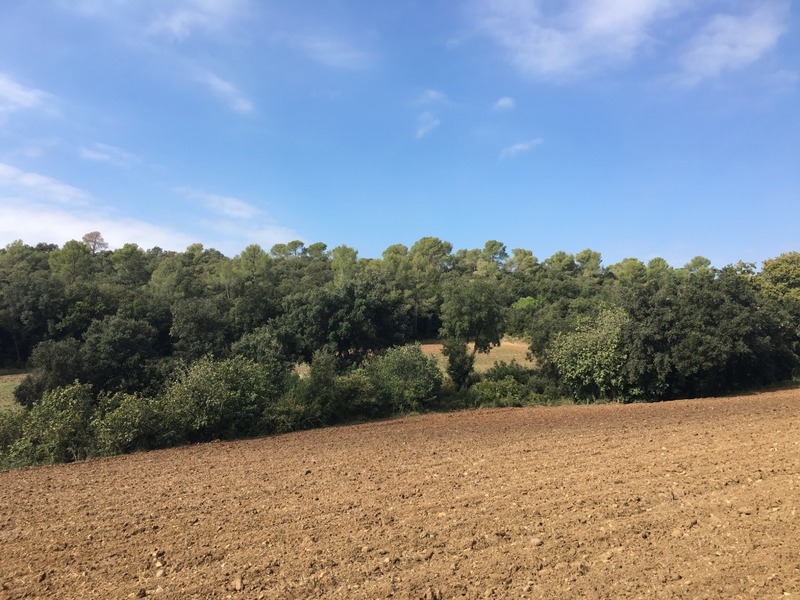 View from the confluence point