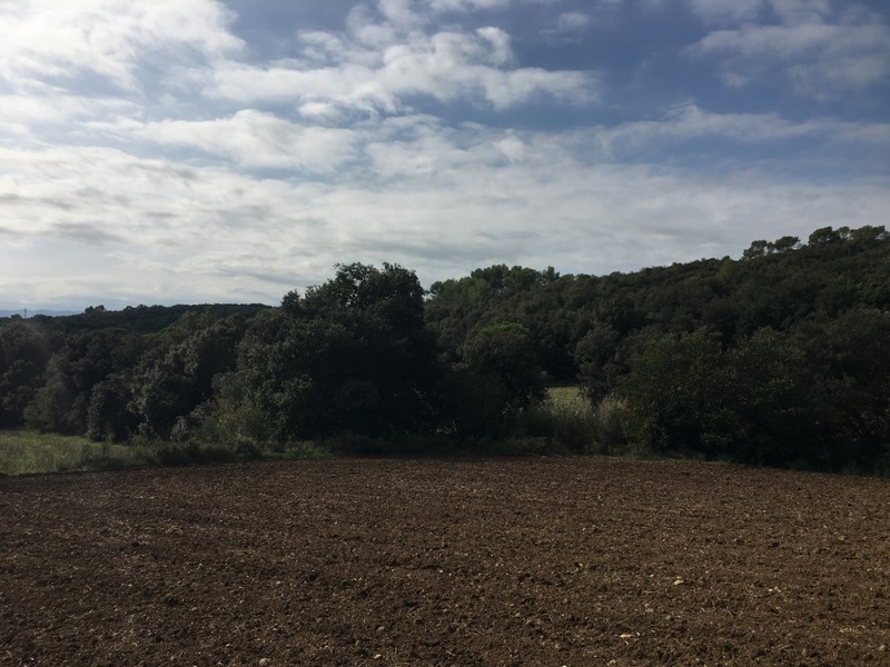 View from the confluence point