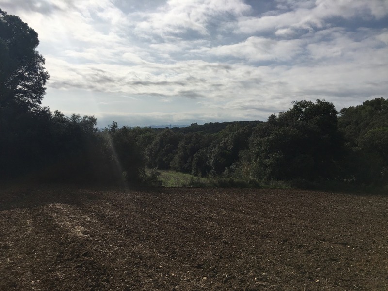 View from the confluence point