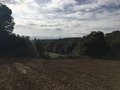 #4: View from the confluence point