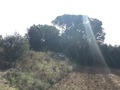 #5: View from the confluence point