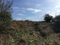 #6: View from the confluence point