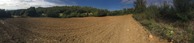 #7: Panorama