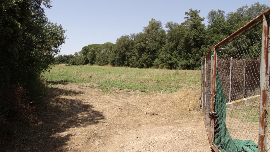 Beginning of the fields with gate at the right side