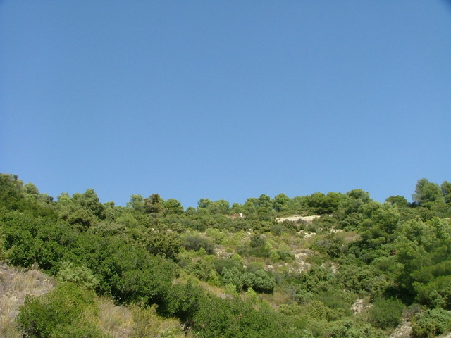 Vista Norte / North