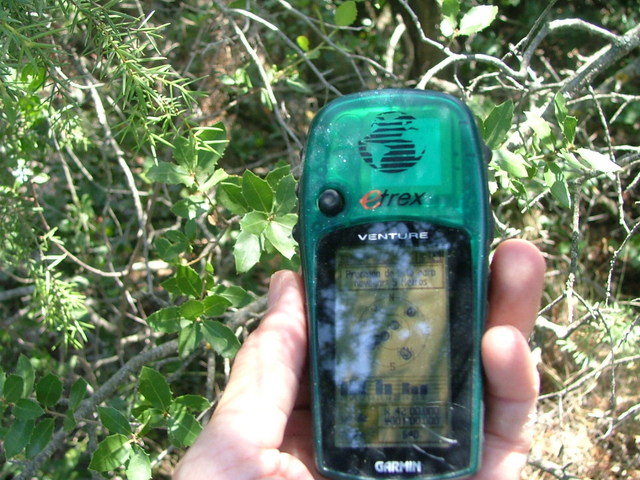 GPS (Bajo los Pinos-  Under branches of Pine trees)