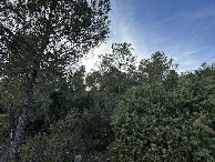 #3: View to the West