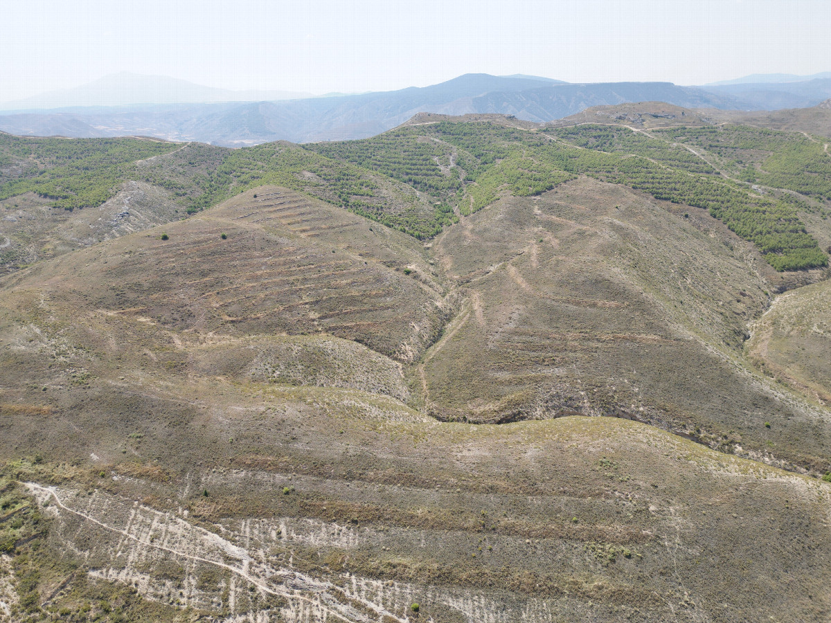 View South, from 120m above the point