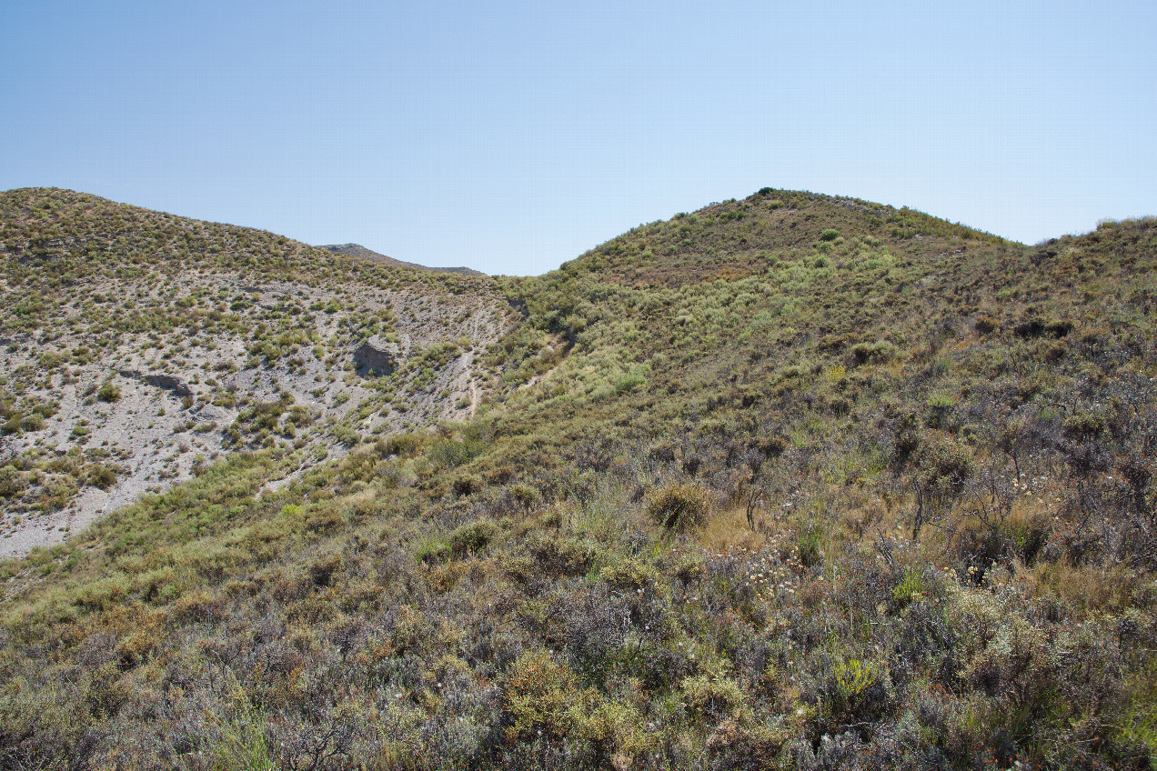 View East