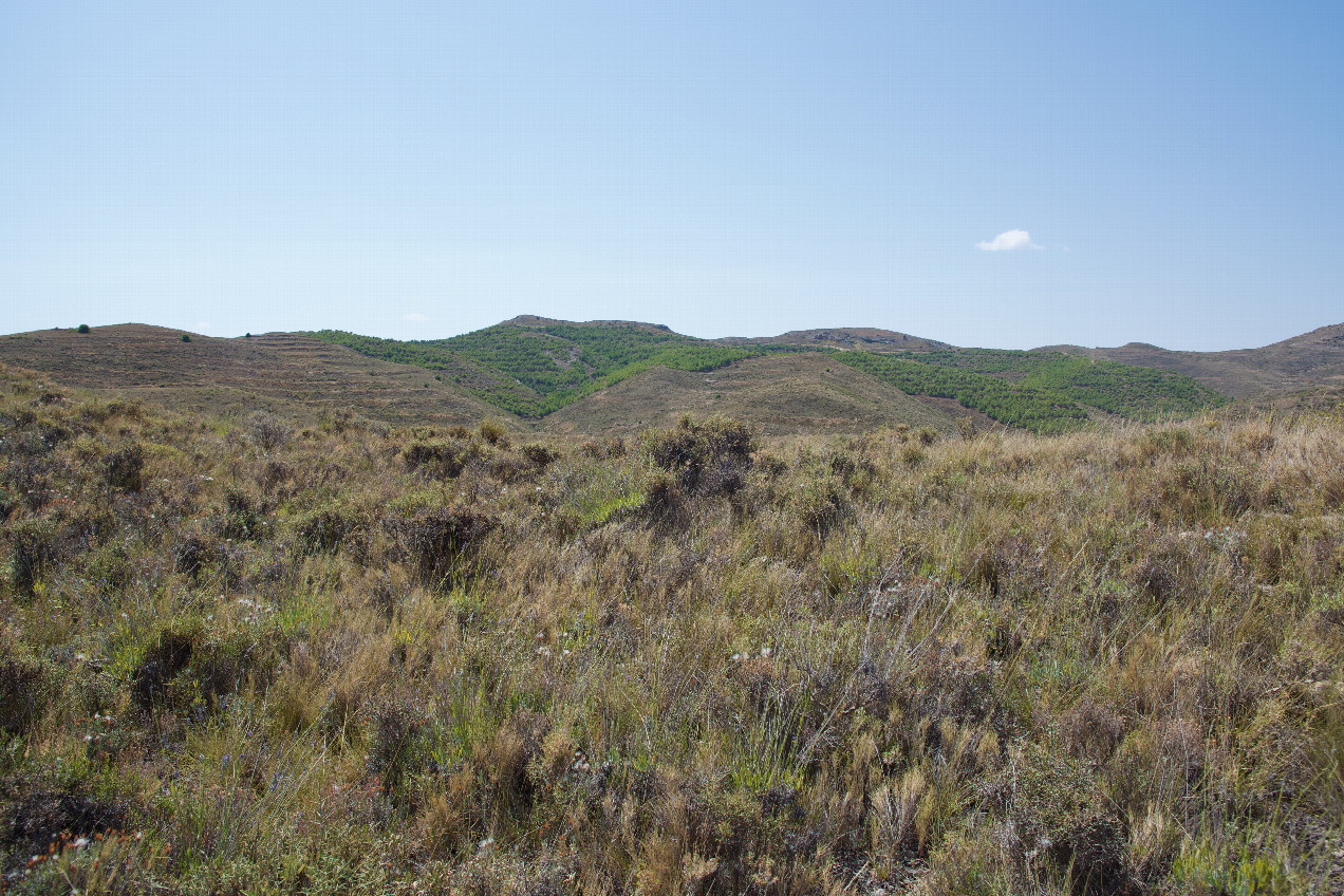View South