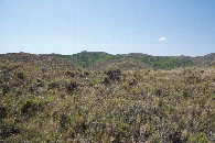 #3: View South
