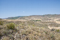 #4: View West