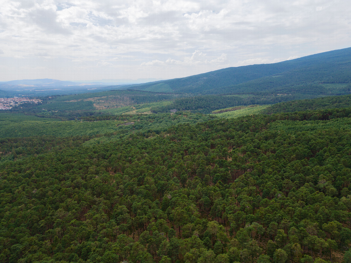 View West, from 120m above the point