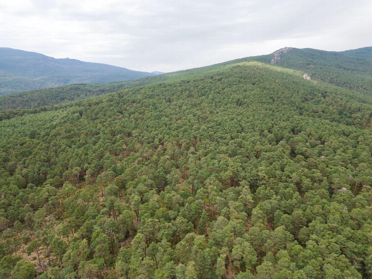 View North, from 120m above the point