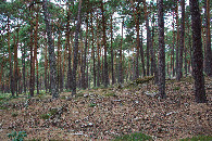 #4: View West