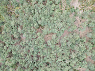 #7: Looking down on the point from a height of 120m