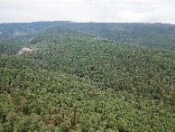 #9: View East, from 120m above the point