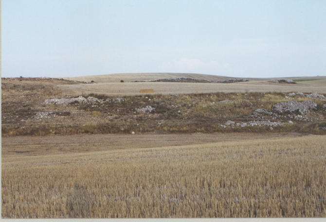 East