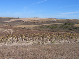 #1: The Confluence from 50 m Distance