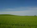 #4: View South