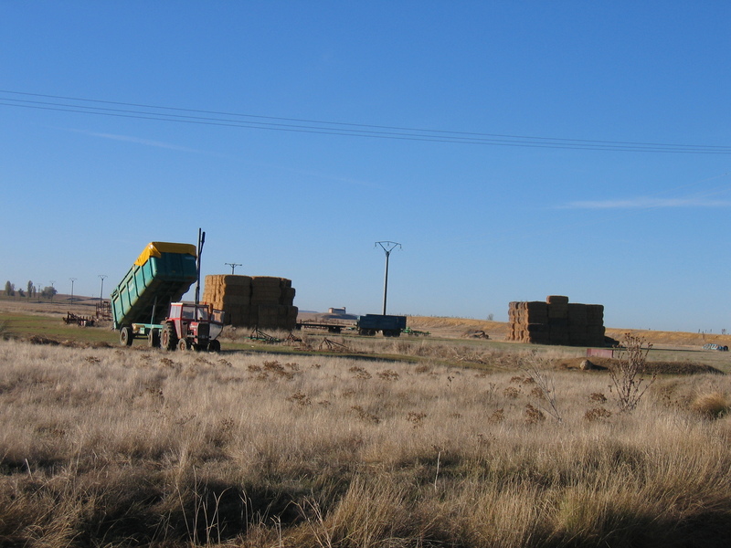 Farming near the Confluence