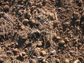 #3: Ground Zero