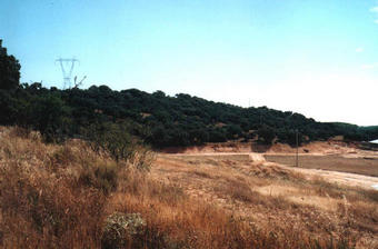 #1: The confluence is between the trees in the center of the picture.