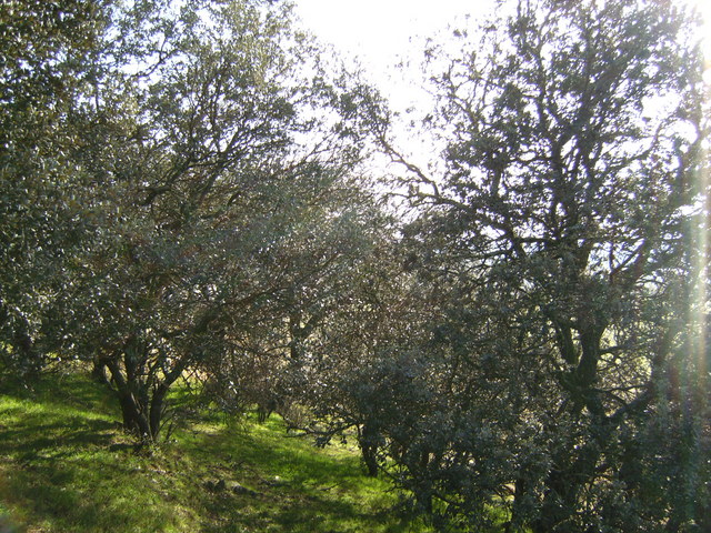 Blick nach Osten / View east