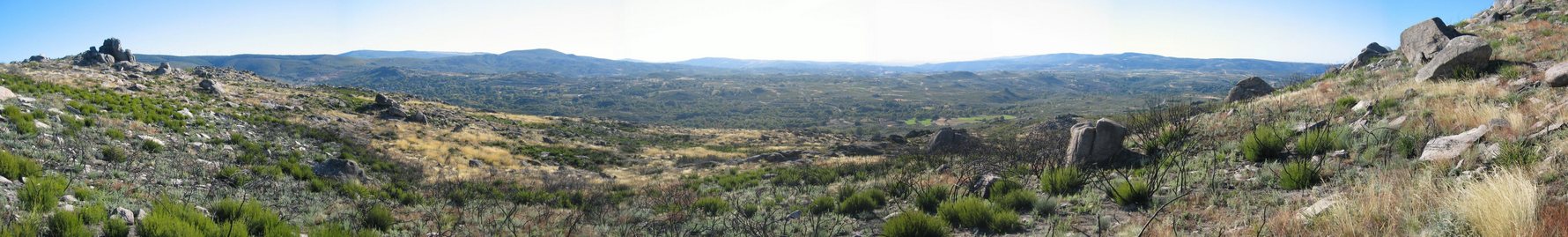 Panoramic View of the Confluence