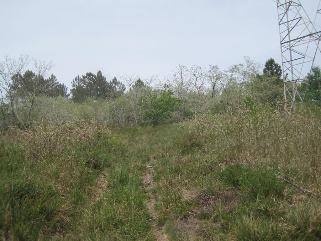 path to CP crossing power poles