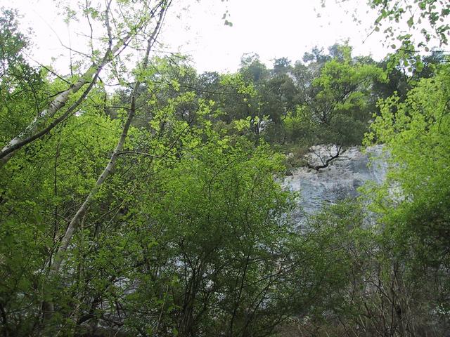 The confluence is 397 meters this way