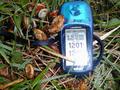 #6: not exactly all zeroes with the gps tilted 45 degrees on a fat fern